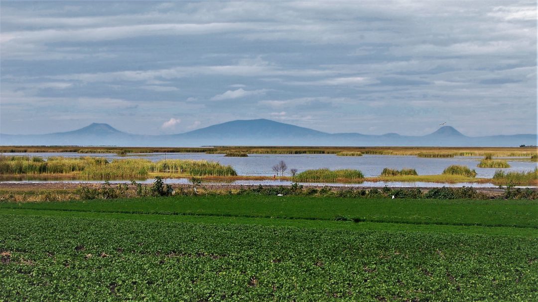 Between border chicana essay history la latina mexicana mujer series 05 image